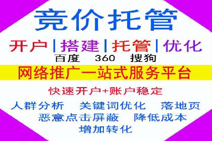 SEM优化策略：案例解读成功之道